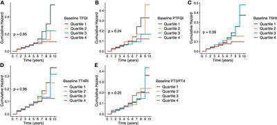 Thyroid hormone sensitivity and diabetes onset: a longitudinal cross-lagged cohort